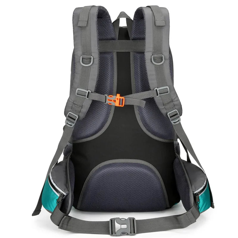 Dos du sac de randonnée 60L – système ergonomique avec soutien dorsal et respirabilité