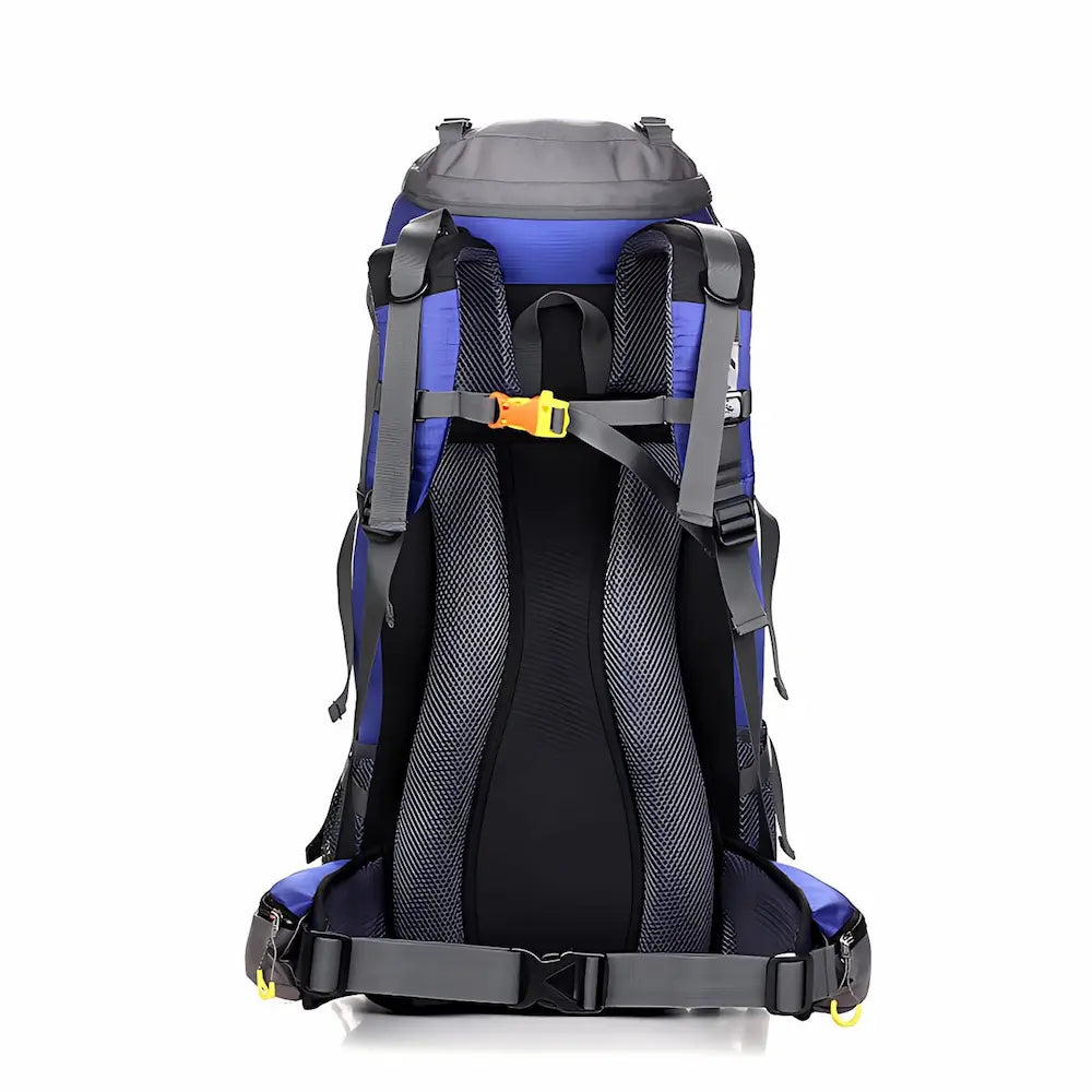 Vue arrière du sac à dos de randonnée 50L bleu et noir avec sangles